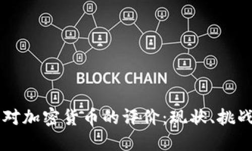 美国人对加密货币的评价：现状、挑战与未来