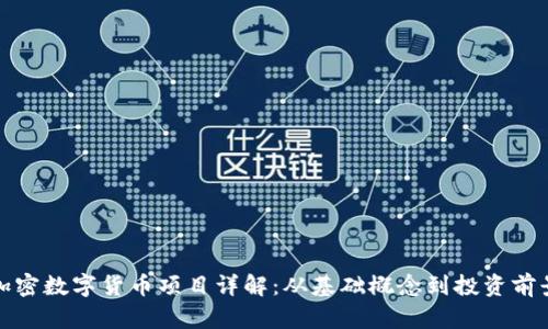 加密数字货币项目详解：从基础概念到投资前景