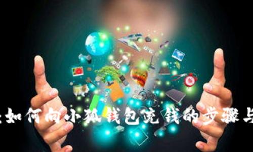 全面解析：如何向小狐钱包充钱的步骤与注意事项
