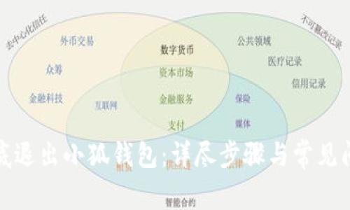 如何彻底退出小狐钱包：详尽步骤与常见问题解答