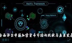 全面评估中国加密货币市