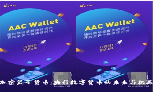 加密篮子货币：央行数字货币的未来与机遇