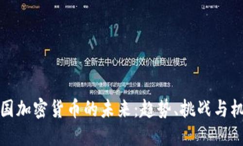 美国加密货币的未来：趋势、挑战与机遇
