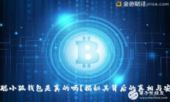中本聪小狐钱包是真的吗