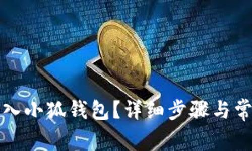 如何正确导入小狐钱包？详细步骤与常见问题解析