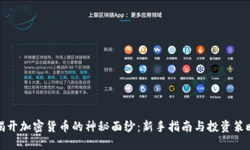 揭开加密货币的神秘面纱：新手指南与投资策略