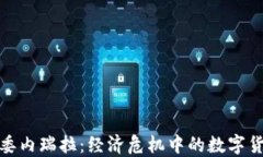 加密货币在委内瑞拉：经