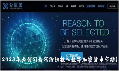 2023年大佬们为何纷纷投入数字加密货币市场？