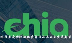 迪拜最受欢迎的加密货币