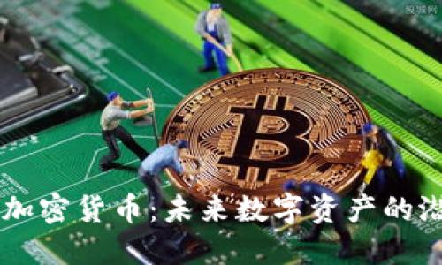 雷达币加密货币：未来数字资产的潜在新星