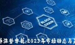 加密货币涨势分析：2023年
