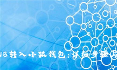 如何将BNB转入小狐钱包：详细步骤与注意事项