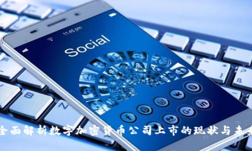 全面解析数字加密货币公司上市的现状与未来