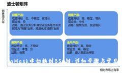 如何在MetaMask中切换到BS
