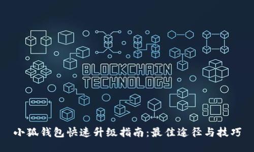小狐钱包快速升级指南：最佳途径与技巧