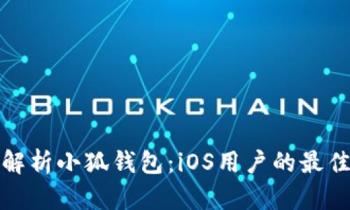 全面解析小狐钱包：iOS用户的最佳选择