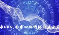 理解加密货币NKN：去中心