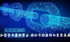 加密货币暴涨背后：揭秘