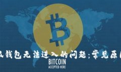 如何解决小狐钱包无法进入的问题：常见原因及