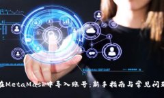如何在MetaMask中导入账号：新手指南与常见问题解