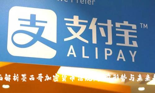 全面解析墨西哥加密货币法规：当前形势与未来趋势