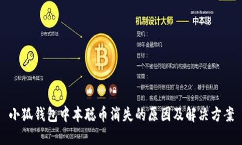 小狐钱包中本聪币消失的原因及解决方案