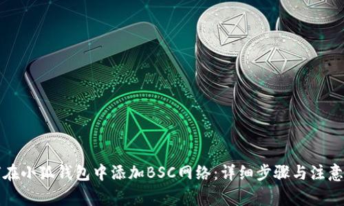 如何在小狐钱包中添加BSC网络：详细步骤与注意事项
