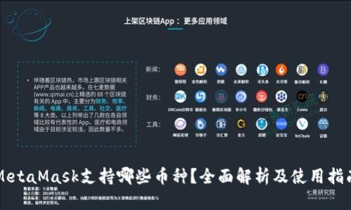 MetaMask支持哪些币种？全面解析及使用指南