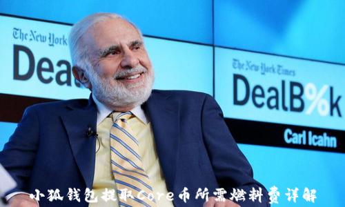 
小狐钱包提取Core币所需燃料费详解