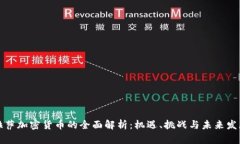 拉萨加密货币的全面解析