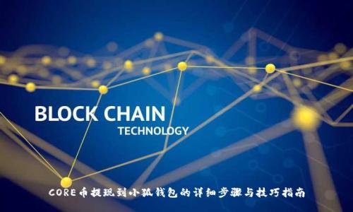 CORE币提现到小狐钱包的详细步骤与技巧指南