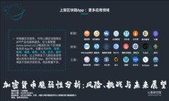 加密货币脆弱性分析：风险、挑战与未来展望