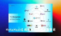 MetaMask支持的格式及其全面解析