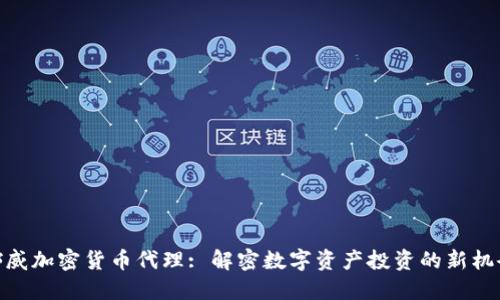 挪威加密货币代理: 解密数字资产投资的新机会