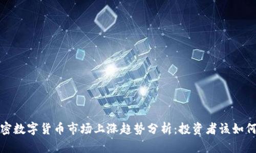 2023年加密数字货币市场上涨趋势分析：投资者该如何把握机会？