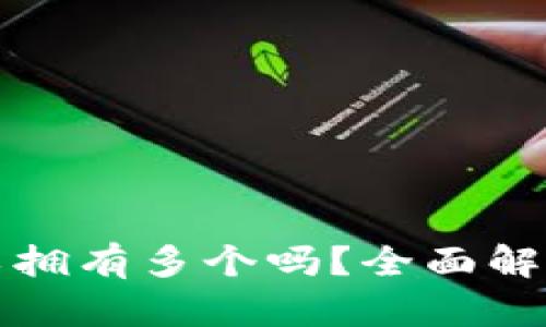 小狐钱包可以拥有多个吗？全面解析与使用指南