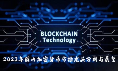 2023年国内加密货币市场龙头分析与展望