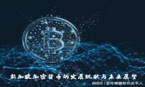 新加坡加密货币的发展现状与未来展望