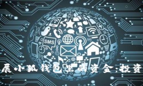 如何有效扩展小狐钱包里的资金：投资与管理技巧