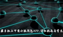 如何在苹果手机上下载小