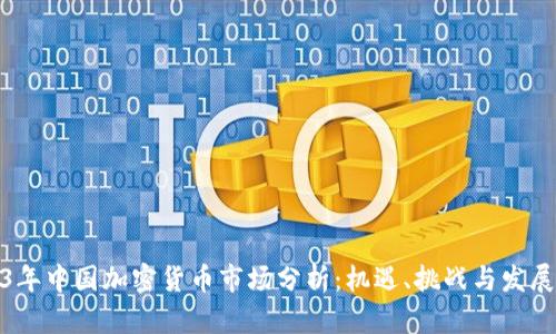 2023年中国加密货币市场分析：机遇、挑战与发展趋势