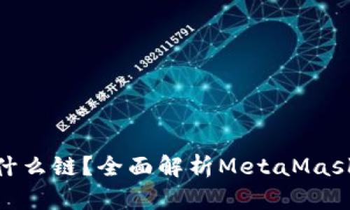 MetaMask是什么链？全面解析MetaMask的功能与应用