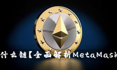 MetaMask是什么链？全面解析MetaMask的功能与应用