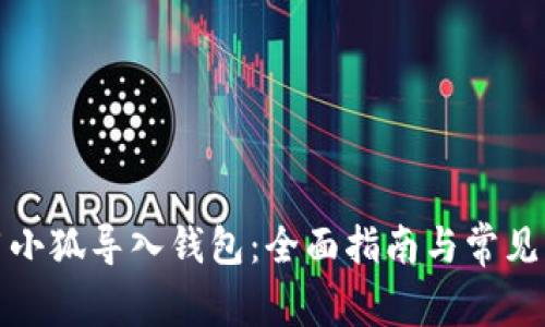 如何使用小狐导入钱包：全面指南与常见问题解答