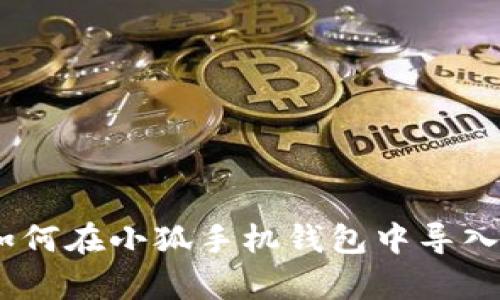全面解析：如何在小狐手机钱包中导入资金与信息