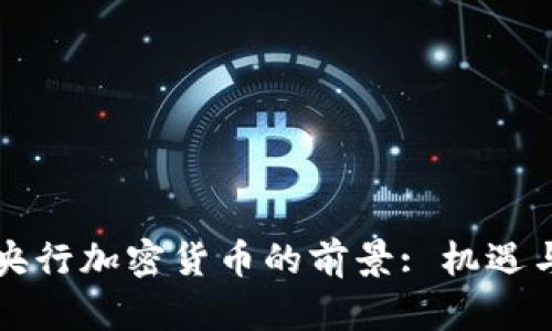 中国央行加密货币的前景: 机遇与挑战