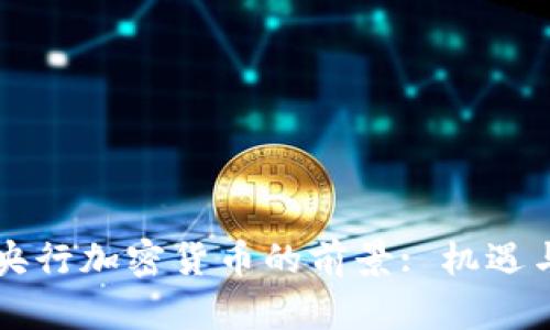 中国央行加密货币的前景: 机遇与挑战