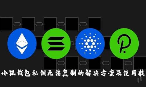 : 小狐钱包私钥无法复制的解决方案及使用技巧