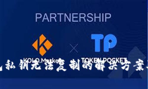 : 小狐钱包私钥无法复制的解决方案及使用技巧