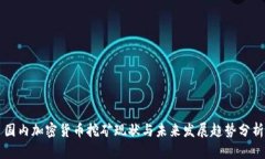 国内加密货币挖矿现状与